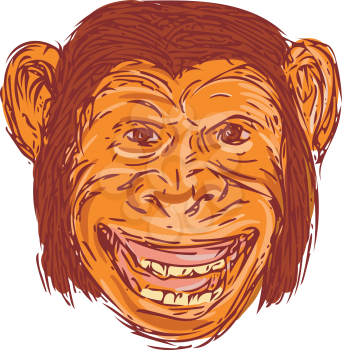 Drawing sketch style illustration of chimpanzee head smiling facing front set on isolated white background. 