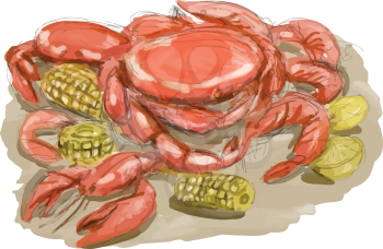 Watercolor sytle illustration of Cajun seafood shwoing shrimp, crawfish and crab with lemon and corn cob set on isolated white background. 