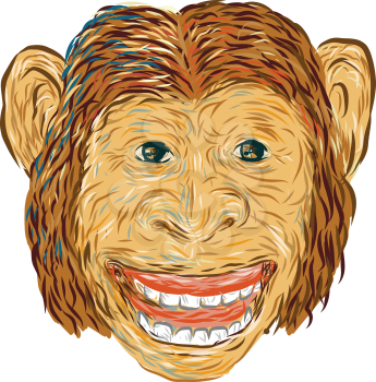 Drawing sketch style illustration of chimpanzee head smiling facing front set on isolated white background done in retro style. 