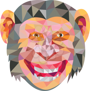 Low polygon style illustration of chimpanzee head smiling facing front set on isolated white background. 