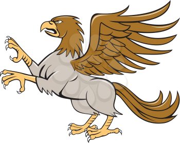 Illustration of a hippogriff or hippogryph, legendary creature with front quarters of an eagle and the hind quarters of a horse prancing showing talons set on isolated white background viewed from the