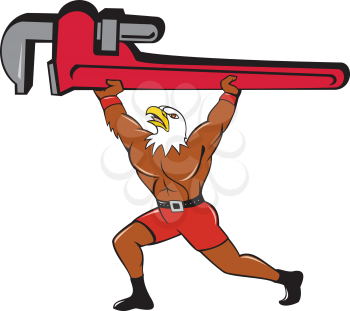 Illustration of a american bald eagle plumber lifting giant monkey adjustable wrench over head looking up to the side set  on isolated white background done in cartoon style. 