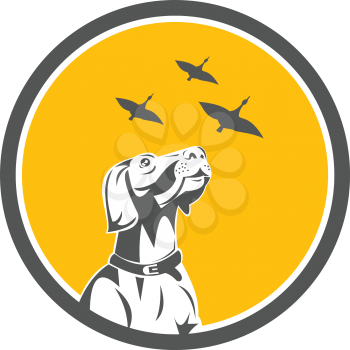 Illustration of an english pointer dog looking up at flying geese set inside circle done in retro style. 