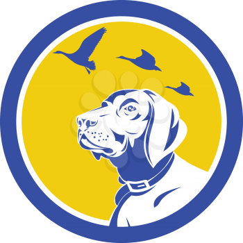 Illustration of a head of an english pointer dog looking up at flying geese viewed from the side set inside circle done in retro style. 