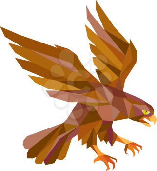 Low polygon style illustration of a peregrine falcon hawk eagle bird swooping viewed from the side set on isolated white background done in retro style.
