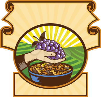 Illustration of a hand holding grapes with raisins in a bowl set inside an oval shape set inside a crest with sunburst in the background done in retro woodcut style. 