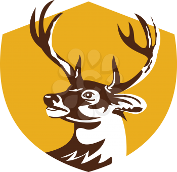 Illustration of a whitetail deer buck stag head looking to the side set inside shield crest done in retro style. 