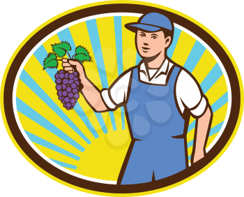 Illustration of an organic farmer boy wearing hat holding grapes viewed from the front set inside oval shape with sunburst in the background done in retro style. 
