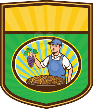 Illustration of an organic farmer boy wearing hat holding grapes with a bowl of raisins in front of him viewed from front set inside shield crest with sunburst in the background done in retro style. 