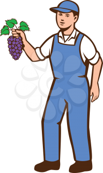 Illustration of an organic farmer boy wearing hat standing holding grapes viewed from the front set on isolated white background done in retro style. 