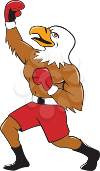 Illustration of a bald eagle boxer pumping fist in the air looking up knees bent viewed from the side set on isolated white background done in cartoon  style. 
