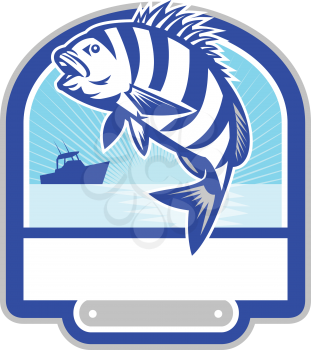 Illustration of a sheepshead (Archosargus probatocephalus) a marine fish jumping up set inside shield crest with fishing boat and sunburst in the background done in retro style. 