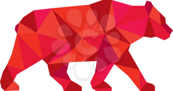 Low polygon style Illustration of an American black bear,Ursus americanus, a medium-sized bear native to North America walking viewed from side set on isolated white background. 