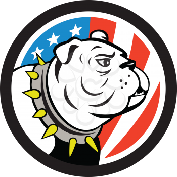 Illustration of a bulldog head looking to the side set inside circle with usa american stars and stripes flag in the background done in cartoon style. 