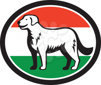 Illustration of a Kuvasz, an ancient breed of a livestock dog of Hungarian origin standing viewed from the side with hungarian flag in the background done in retro style. 
