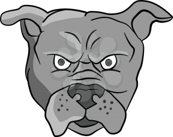Illustration of an angry bulldog head facing front set on isolated white background done in cartoon style. 