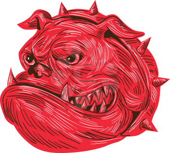 Drawing sketch style illustration of a head of an angry bulldog showing sharp teeth viewed from the side set on isolated white background. 