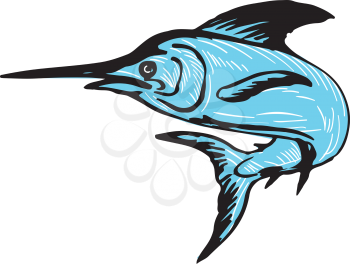 Drawing sketch style illustration of a blue marlin fish jumping viewed from side set on isolated white background.