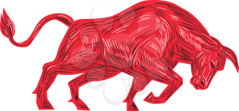 Drawing sketch style illustration of a bull facing attacking charging viewed from the side set on isolated white background. 