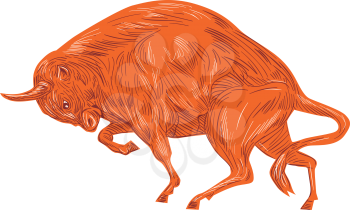 Drawing sketch style illustration of an angry European bison bull charging viewed from the side set on isolated white background.