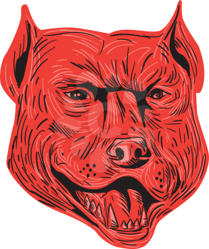 Drawing sketch style illustration of an angry pitbull dog mongrel head facing front set on isolated white background.
