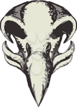 Illustration of a skull of an eagle facing front set on isolated white background done in retro style. 