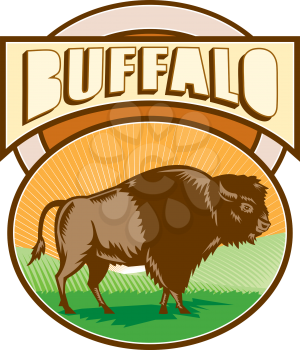Illustration of an american bison buffalo bull viewed from the side set inside oval shape with sunburst and field in the background and the word Buffalo set inside rectangle shape done in retro woodcu
