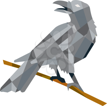 Low polygon style illustration of a crow bird perched on a piece of wood looking back set on isolated white background. 
