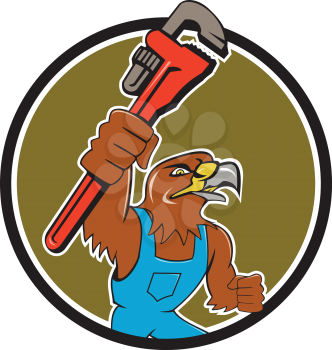 Illustration of a hawk plumber holding wrench spanner set inside circle on isolated background done in cartoon style. 