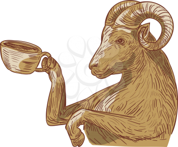 Drawing sketch style illustration of a ram goat drinking coffee viewed from the side set on isolated white background. 