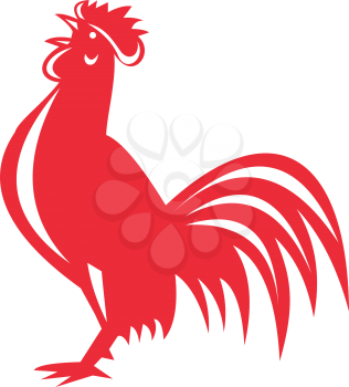 Illustration of a chicken rooster crowing viewed from the side set  on isolated white background done in retro style. 