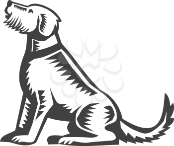 Illustration of a welsh terrier dog sitting looking up viewed from side set on isolated white background done in retro woodcut style, 