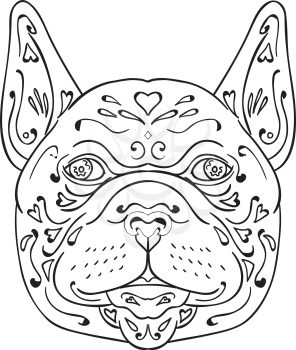 Mandala style illustration of a french bulldog head viewed from front set on isolated white background. 