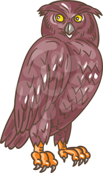 Drawing sketch style illustration of an owl standing observing looking to the side viewed from front set on isolated white background. 