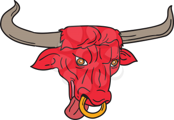 Drawing sketch style illustration of a texas longhorn red bull head tongue out set on isolated white background. 