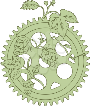 Drawing sketch style illustration of a Hop plant Humulus lupulus with flowers and seed cones or strobiles intertwined on a vintage single ring crank set on isolated white background. 