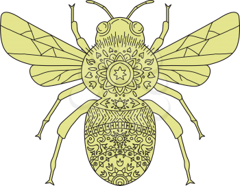 Mandala style illustration of a bumblebee or bumble bee, a member of the genus Bombus, part of Apidae, one of the bee families set on isolated white background. 