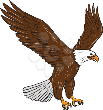 Drawing sketch style illustration of bald eagle flying wings flapping viewed from the side set on isolated white background. 