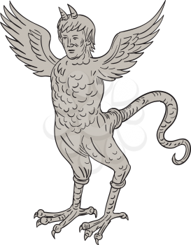 `Drawing sketch style illustration of an ancient 16th century monster with horned human head body of an eagle and serpentine tail standing viewed from front set on isolated white background 