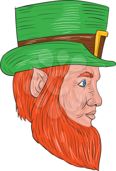 Drawing sketch style illustration of a leprechaun head viewed from the side set on isolated white background.