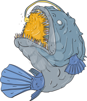 Drawing sketch style illustration of an Anglerfish of teleost order Lophiiformes that are bony fish named for their characteristic mode of predation, which a fleshy growth from fish's head (the esca o
