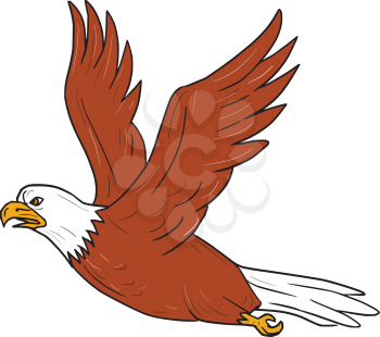 Illustration of an angry eagle flying wings flapping viewed from the side set on isolated white background done in cartoon style.