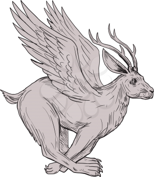 Drawing sketch style illustration of a Wolpertinger, in Bavarian folklore, a mythical hare with antlers, fangs and wings running viewed from the side set on isolated white background. 