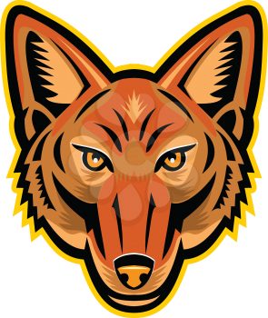 Mascot icon illustration of head of a Jackal or sometimes called American jackal  viewed from front on isolated background in retro style.