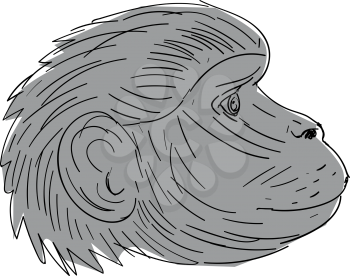Illustration of a Gelada Monkey Head Side view done in Drawing sketch style.