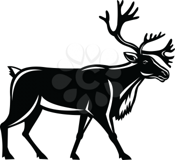 Retro style illustration of a reindeer, also known as the caribou in North America, walking viewed from side on isolated background.