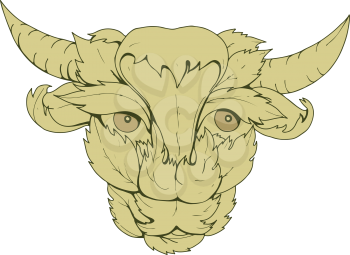 Drawing sketch style illustration of green cow or bull  with head surrounded by or made from leaves viewed from front.
