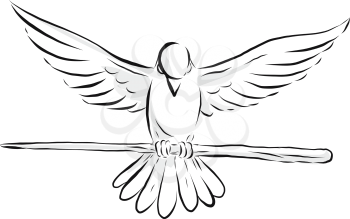 Drawing sketch style illustration of a soaring dove or pigeon with wing spread clutching a wooden staff or cane viewed from front on isolated background.