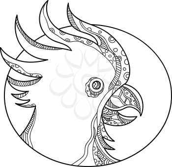 Doodle art illustration of head of cockatoo, a parrot that belongs to the bird family Cacatuidae, in black and white set inside circle done in mandala style.