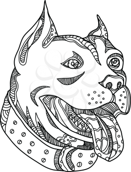 Doodle art illustration of head of pit bull,American Pit Bull Terrier, American Staffordshire Terrier, American Bully or Staffordshire Bull Terrier done in black and white mandala style.